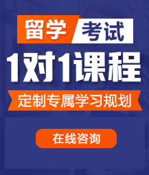 有日bb视频吗?留学考试一对一精品课